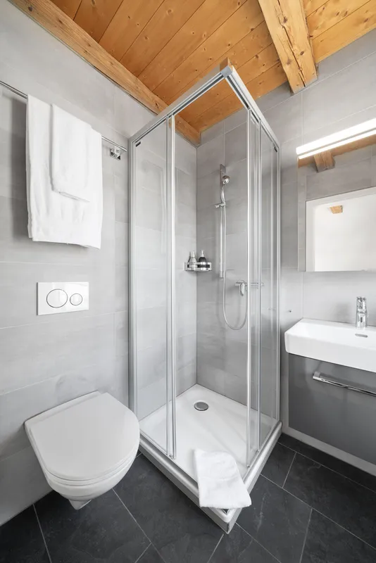 Apartment SARA in Interlaken – Originalaufnahme 6
